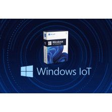 Licencia W11 IOT ENTRY