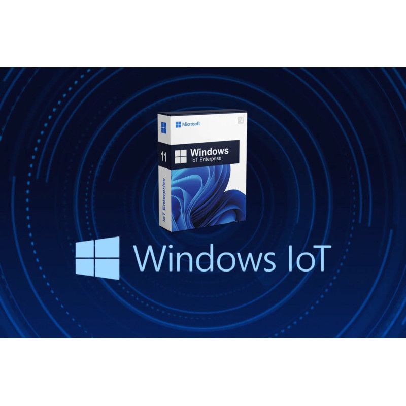 Licencia W11 IOT ENTRY